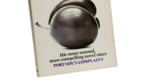 The Professor of Desire by Philip Roth / 1977 - Image 3