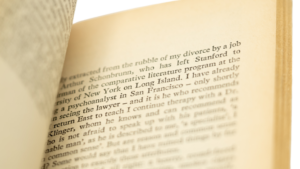 The Professor of Desire by Philip Roth / 1977 - Image 9