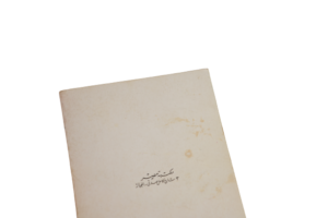 Fadeitak Ya Laila - Youssef El Sebai - Image 6