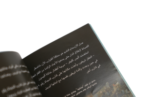 Titanic ( Usborne Young Reading ) Arabic Edition - Image 9