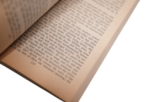 Katie Mulholland Catherine Cookson 1978 - Image 11