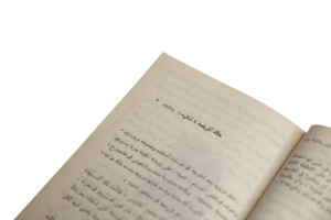 Sigmund Freud Biography Book - Image 10