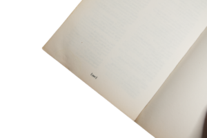The Secret Life Of Houdini - Image 12