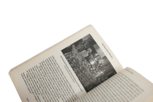 The Secret Life Of Houdini - Image 13