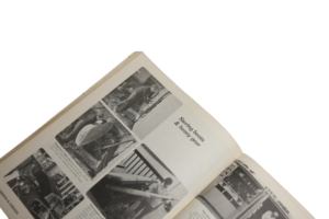Sunset Ideas For Storage 1984 - Image 11