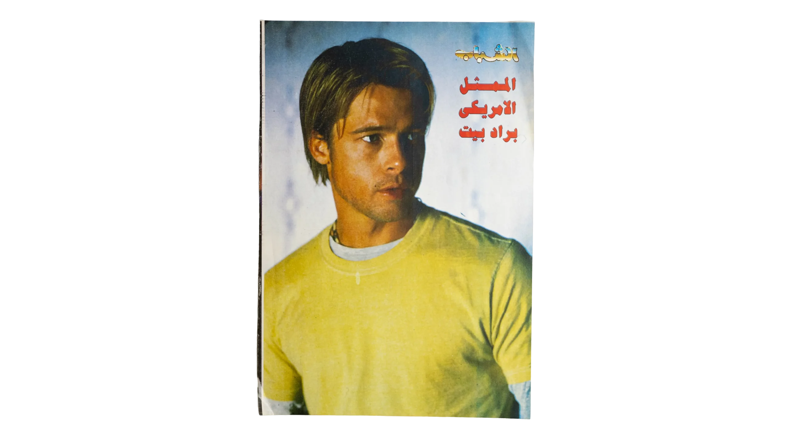DSC02695 Brad Pitt Poster - Image 1