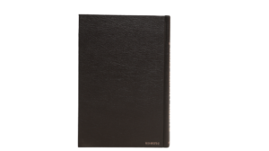 Systems Based Independent Audits Book - Image 7