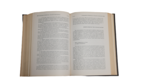 Systems Based Independent Audits Book - Image 11