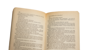 Winter Hawk Book - Image 9