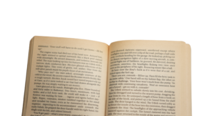 Winter Hawk Book - Image 10