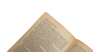 Winter Hawk Book - Image 11