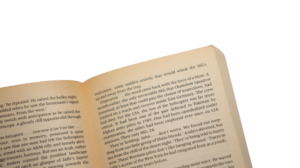 Winter Hawk Book - Image 12
