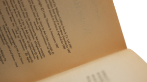 Winter Hawk Book - Image 14