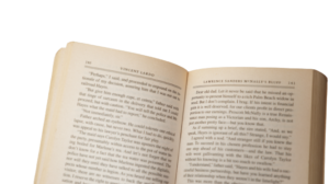 McNally's Bluff Book - Image 10
