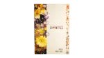 Sheraton El Gezirah Brochure 1995