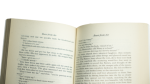 Lord Of The Files Book By William Golding - Image 5