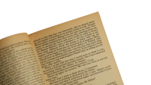 Plexus – Henry Miller Book - Image 4