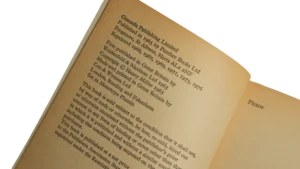 Plexus – Henry Miller Book - Image 6
