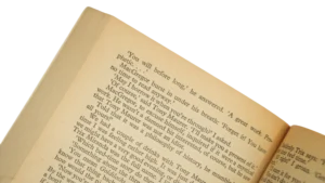 Plexus – Henry Miller Book - Image 7