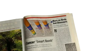 Newsweek Chaos / 2000 - Image 9