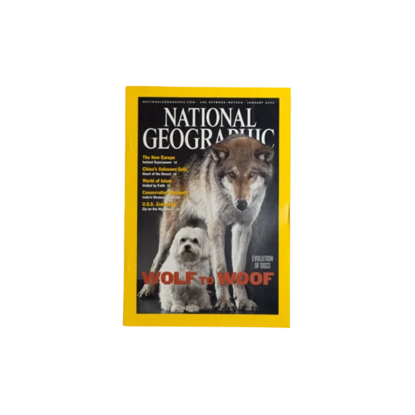 Wolf To Woof – National Geographic Magazine / 2002