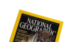 Wolf To Woof – National Geographic Magazine / 2002 - Image 2