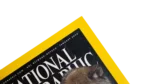 Wolf To Woof – National Geographic Magazine / 2002 - Image 4
