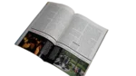 Wolf To Woof – National Geographic Magazine / 2002 - Image 7