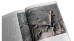 Wolf To Woof – National Geographic Magazine / 2002 - Image 8