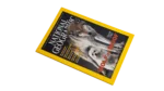 Wolf To Woof – National Geographic Magazine / 2002 - Image 11