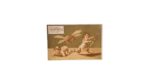 1890's Medicine Patent - Trade Card