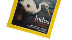 Indus – National Geographic Magazine / 2001 - Image 3