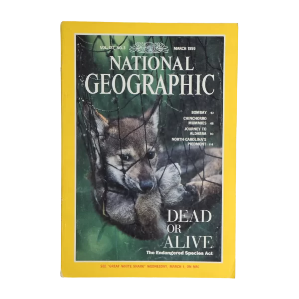 Dead Or Alive – National Geographic Magazine / 1995