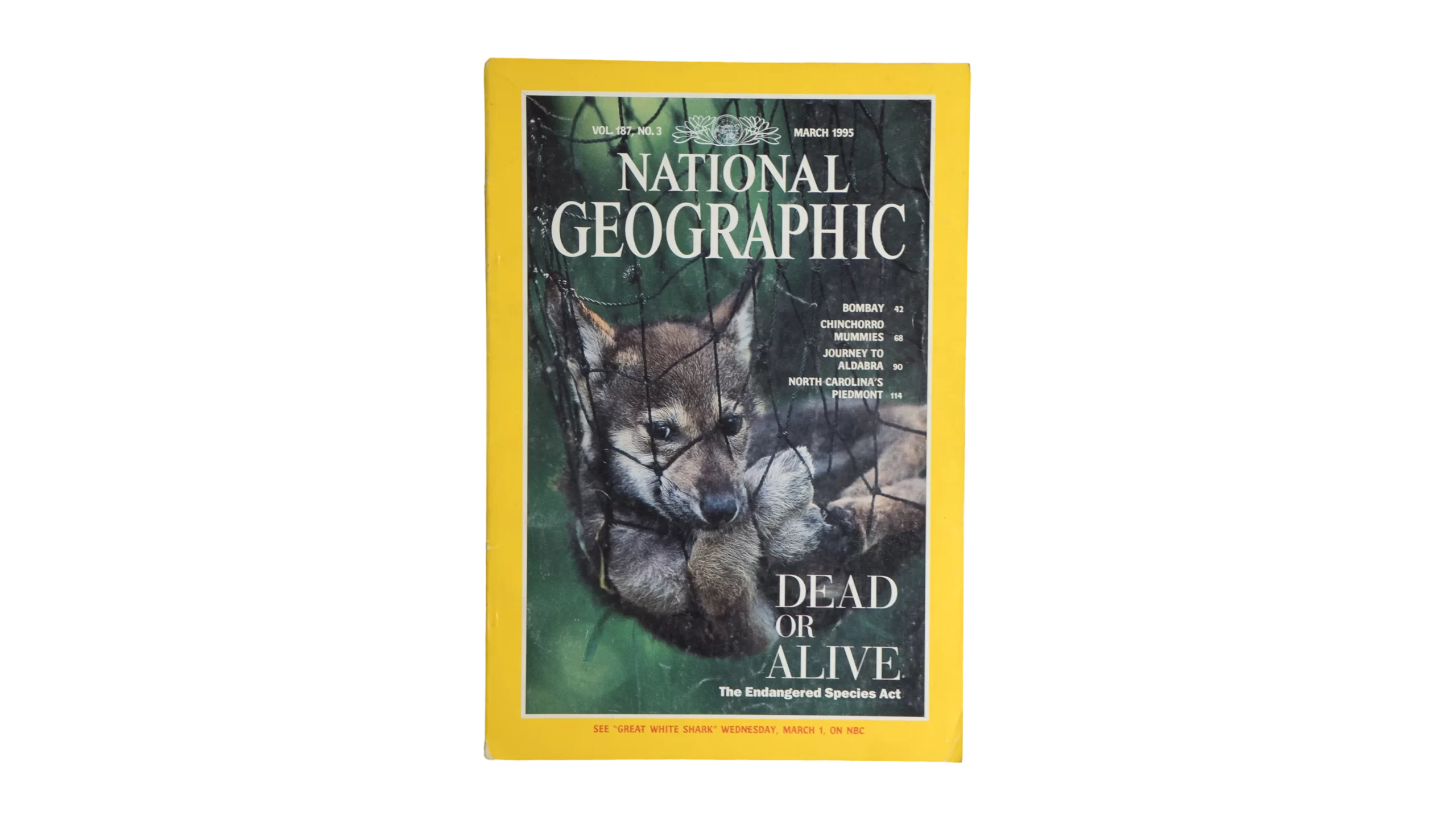 DSC09279 Dead Or Alive – National Geographic Magazine / 1995 - Image 1