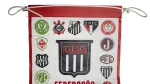 Federação Paulista de Futebol Pennant - Image 5
