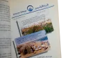 Port Said-Ismailia-Suez-Sinai Guide - Image 6