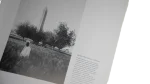 From the Nile to the Euphrates - Image 7