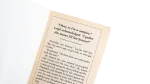 Bite Me If You Can Novel - Image 11