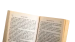 Bite Me If You Can Novel - Image 10