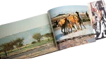 Lights of Egypt Book 1978 - Image 8