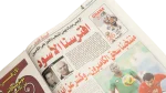 Egypt Beats Cameron Newspaper 2008 - Image 5
