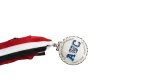 AUC Medal - Image 6