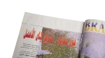 Brazil 5th World Cup Victory Al-Ahram Sports Magazine 2002 - Image 6
